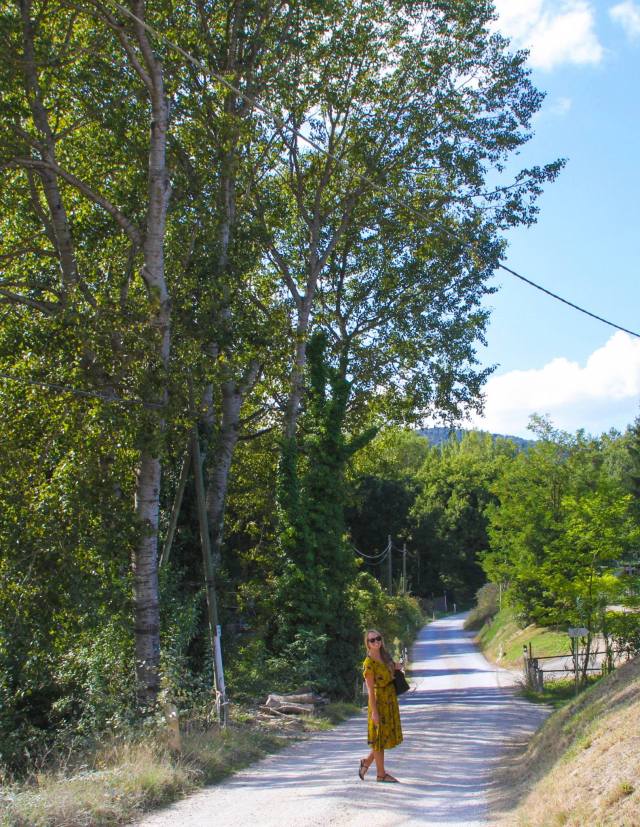 10694271_10102877217619681_1955645035405084557_o