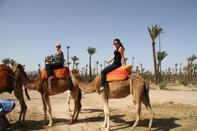 206139_10100300237408681_1958774_n