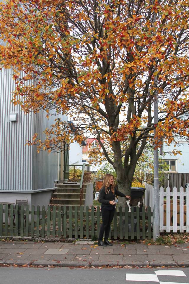 14883645_10104580082060691_3055253563316991407_o