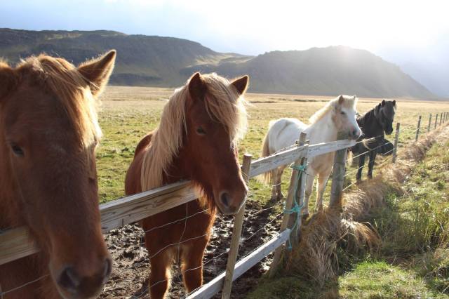 14884646_10104580079271281_6525483495853052805_o