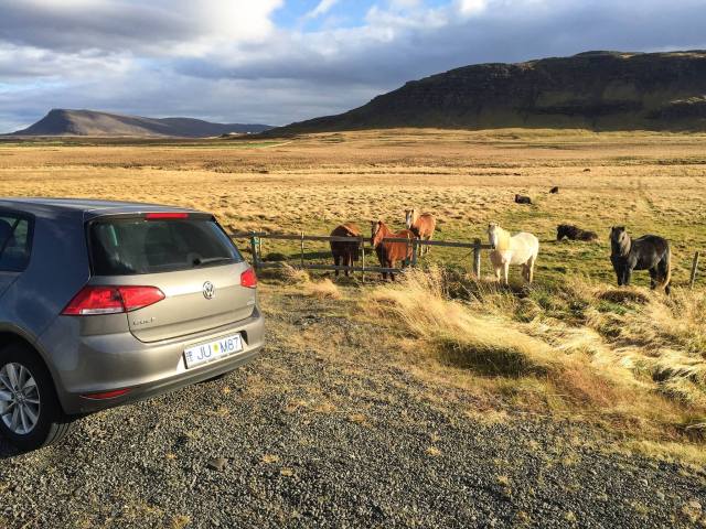 14890313_10104580080279261_2784099185780486056_o